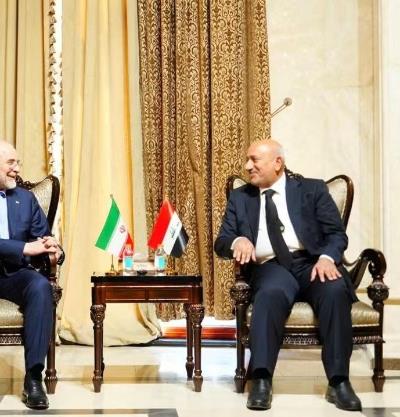 رئيس مجلس الشورى الإسلامي الإيراني يلتقي محافظ كربلاء المقدسة